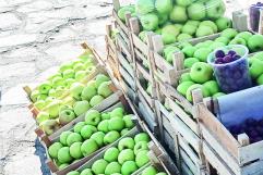 Preparan Feria de la Manzana 2025