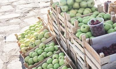 Preparan Feria de la Manzana 2025