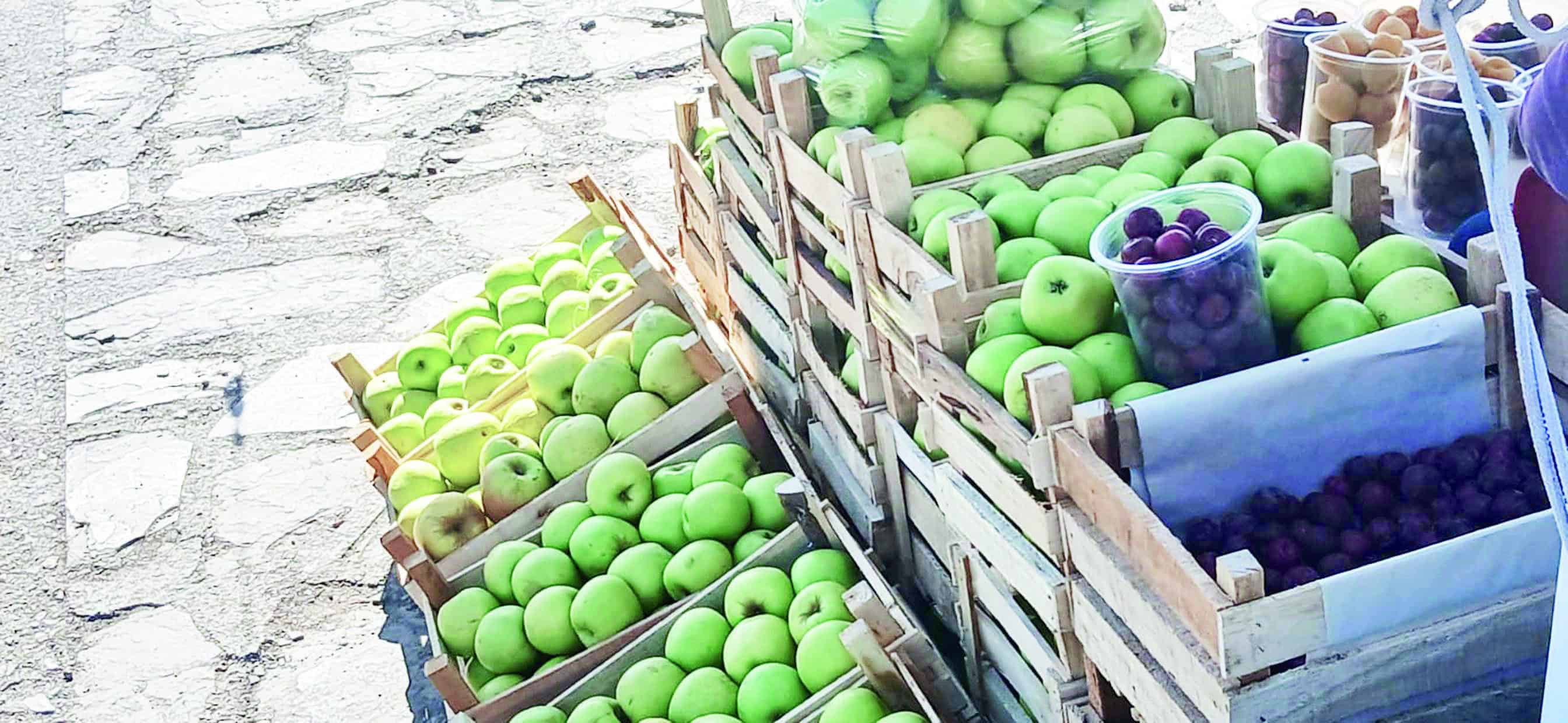 Preparan Feria de la Manzana 2025 Preparan Feria de la Manzana 2025