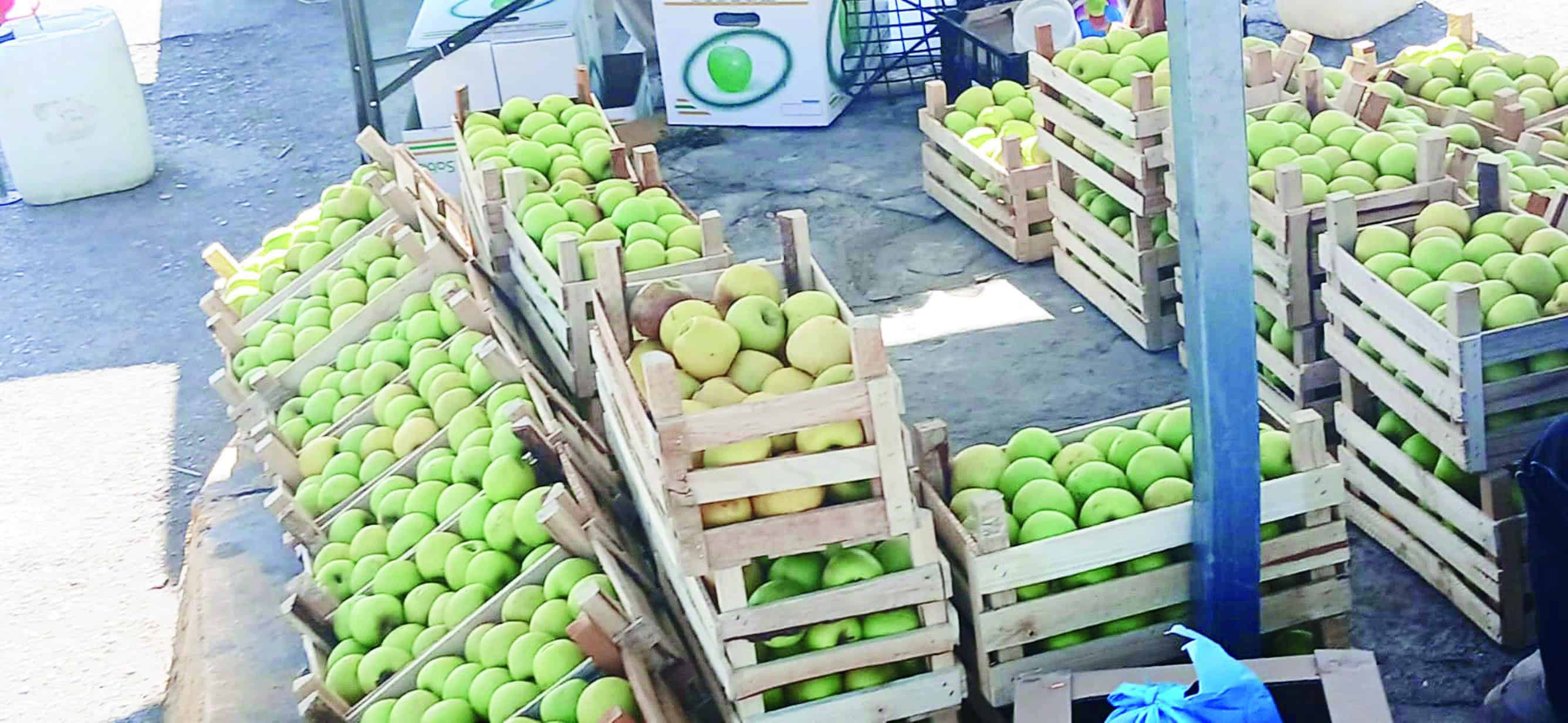Preparan Feria de la Manzana 2025