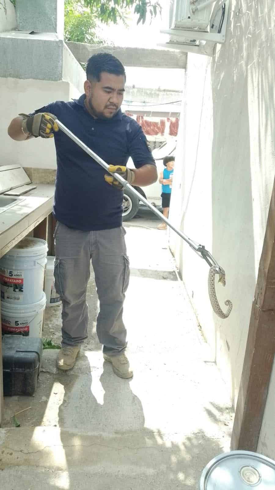Rescatan serpiente en una vivienda de Allende