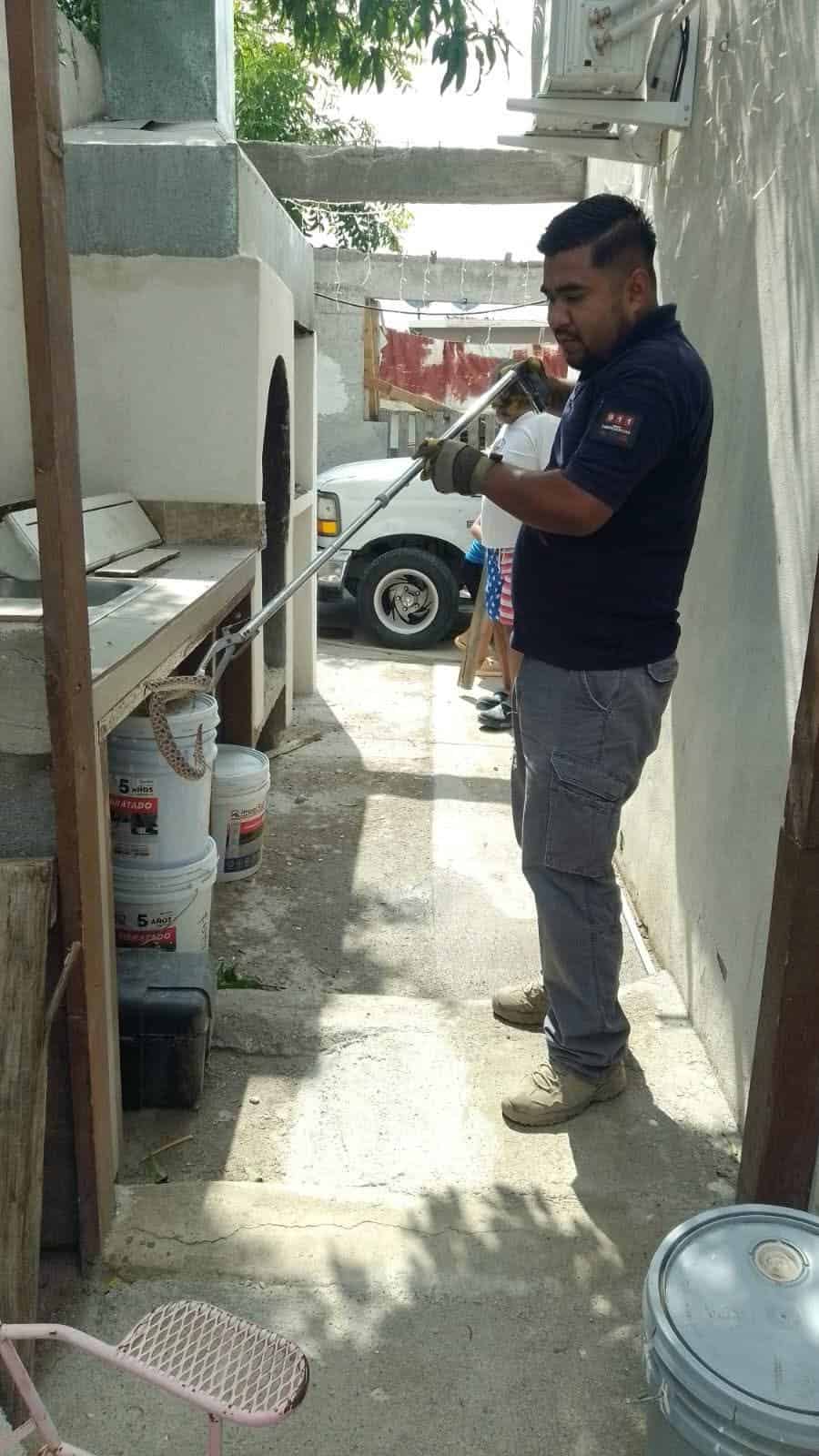 Rescatan serpiente en una vivienda de Allende
