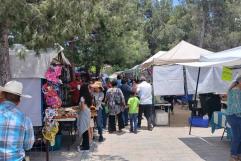 Domingo típico en la Alameda