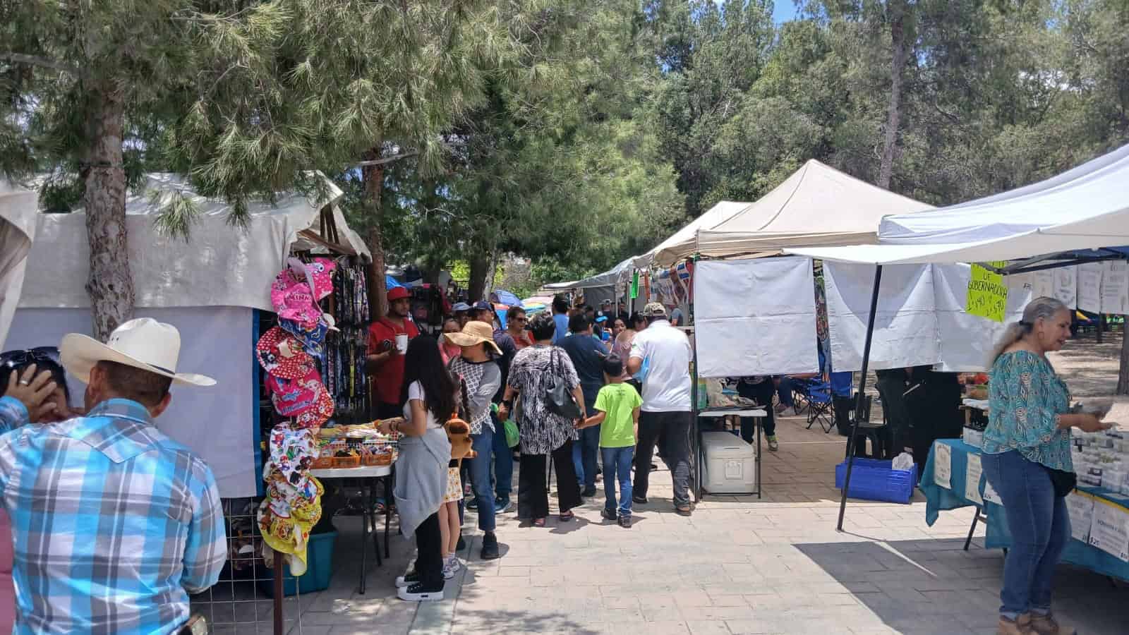 Domingo típico en la Alameda