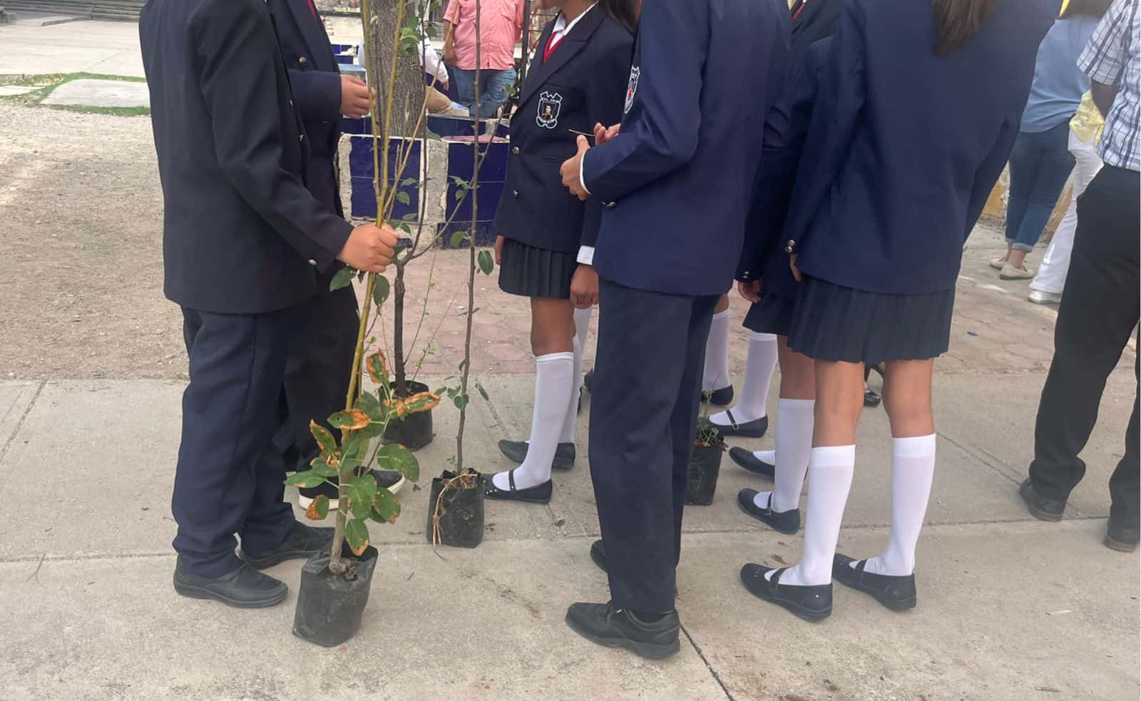 Inicia entrega de árboles en escuelas de Ciudad Acuña
