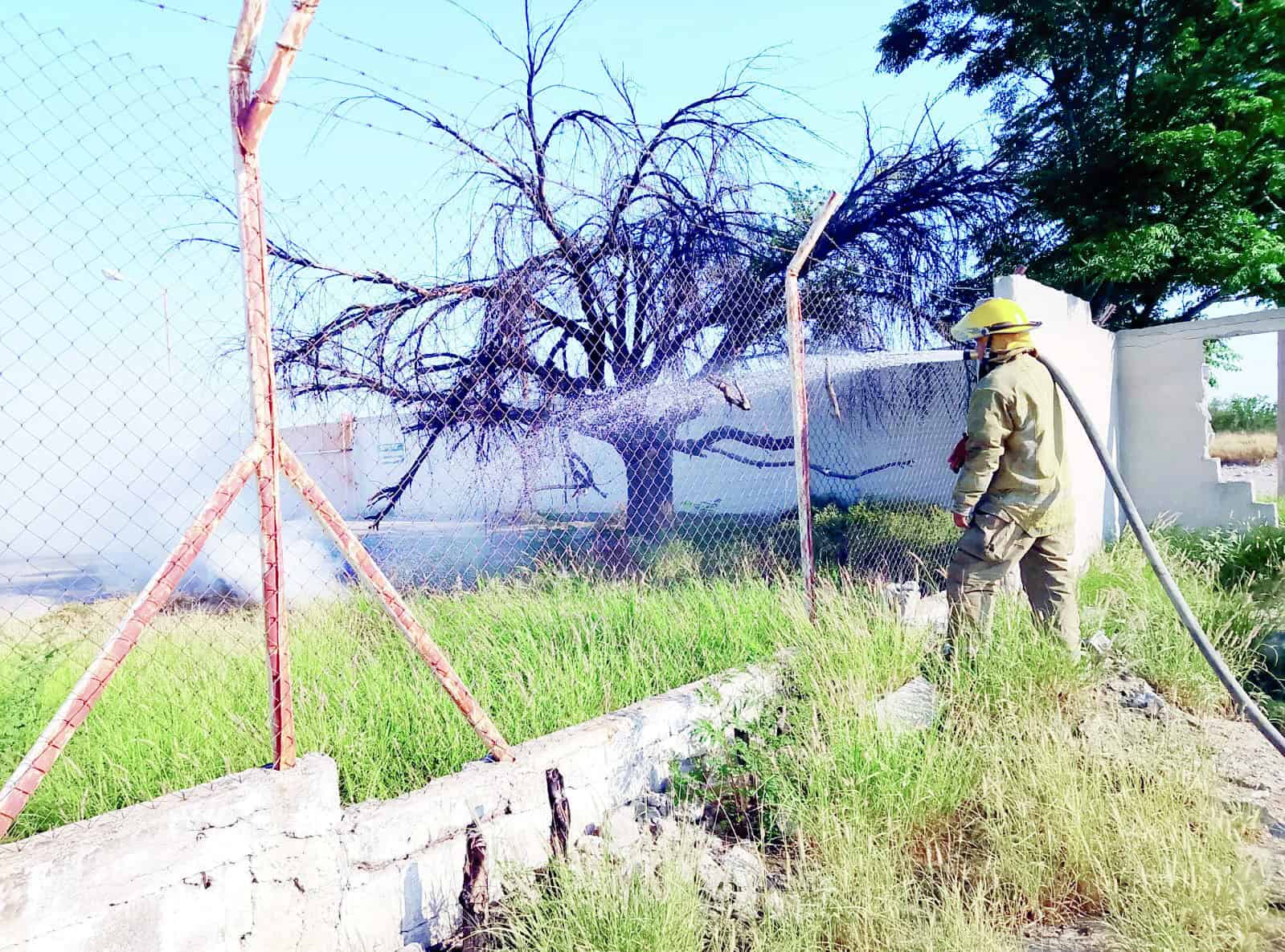 Fuego en gasera moviliza a Bomberos