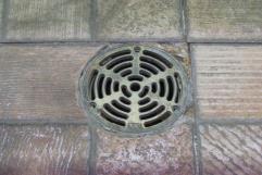 ¿Huele mal tras las lluvias?; Aquí la explicación