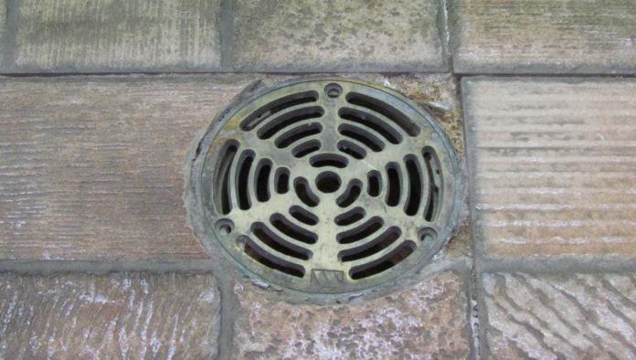 ¿Huele mal tras las lluvias?; Aquí la explicación