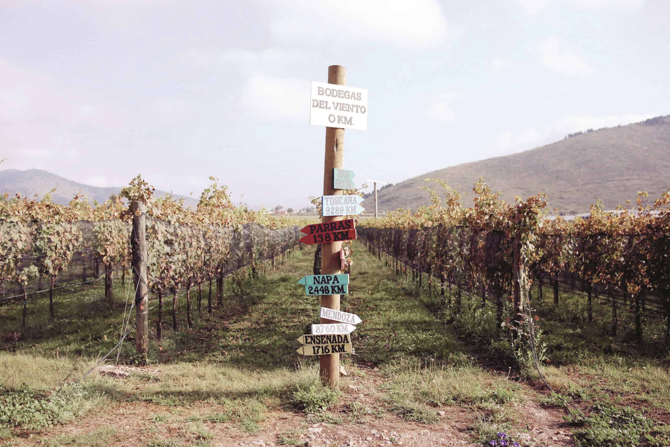 Atrae Ruta de Vinos y Dinos a Argentina, España y Uruguay