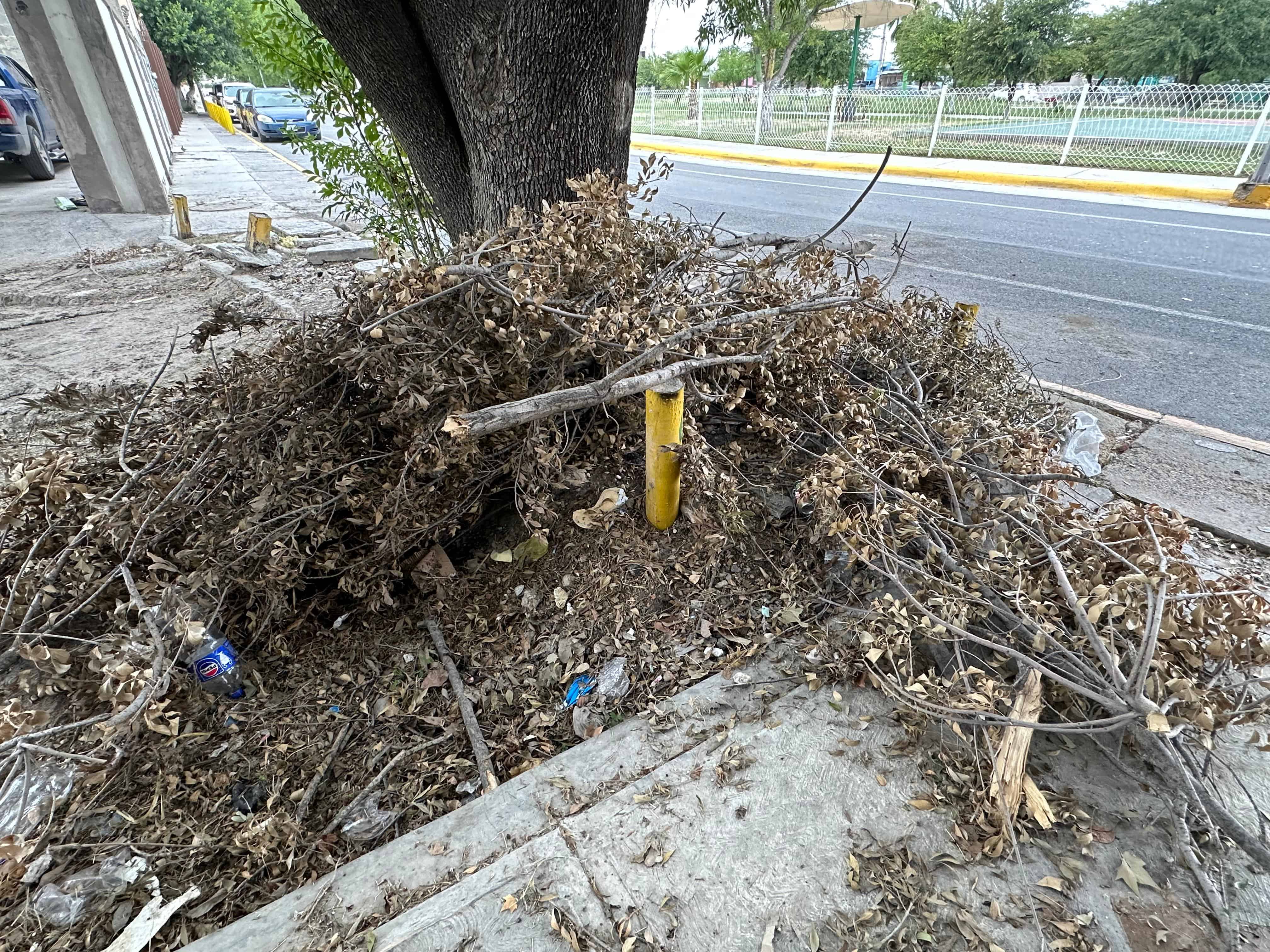La voz en tu colonia: ABANDONO y COLAPSO en la Fovissste