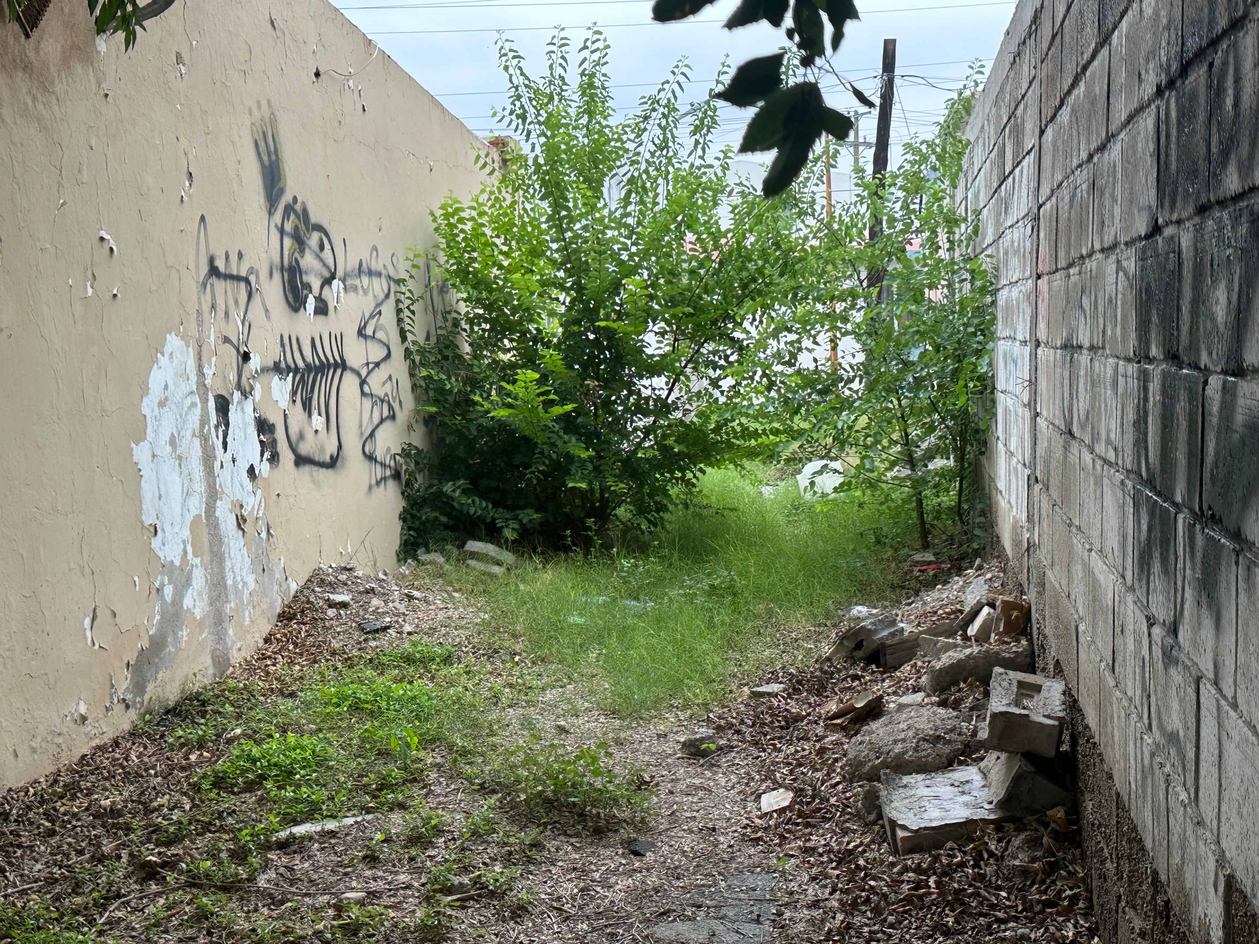 La voz en tu colonia: ABANDONO y COLAPSO en la Fovissste