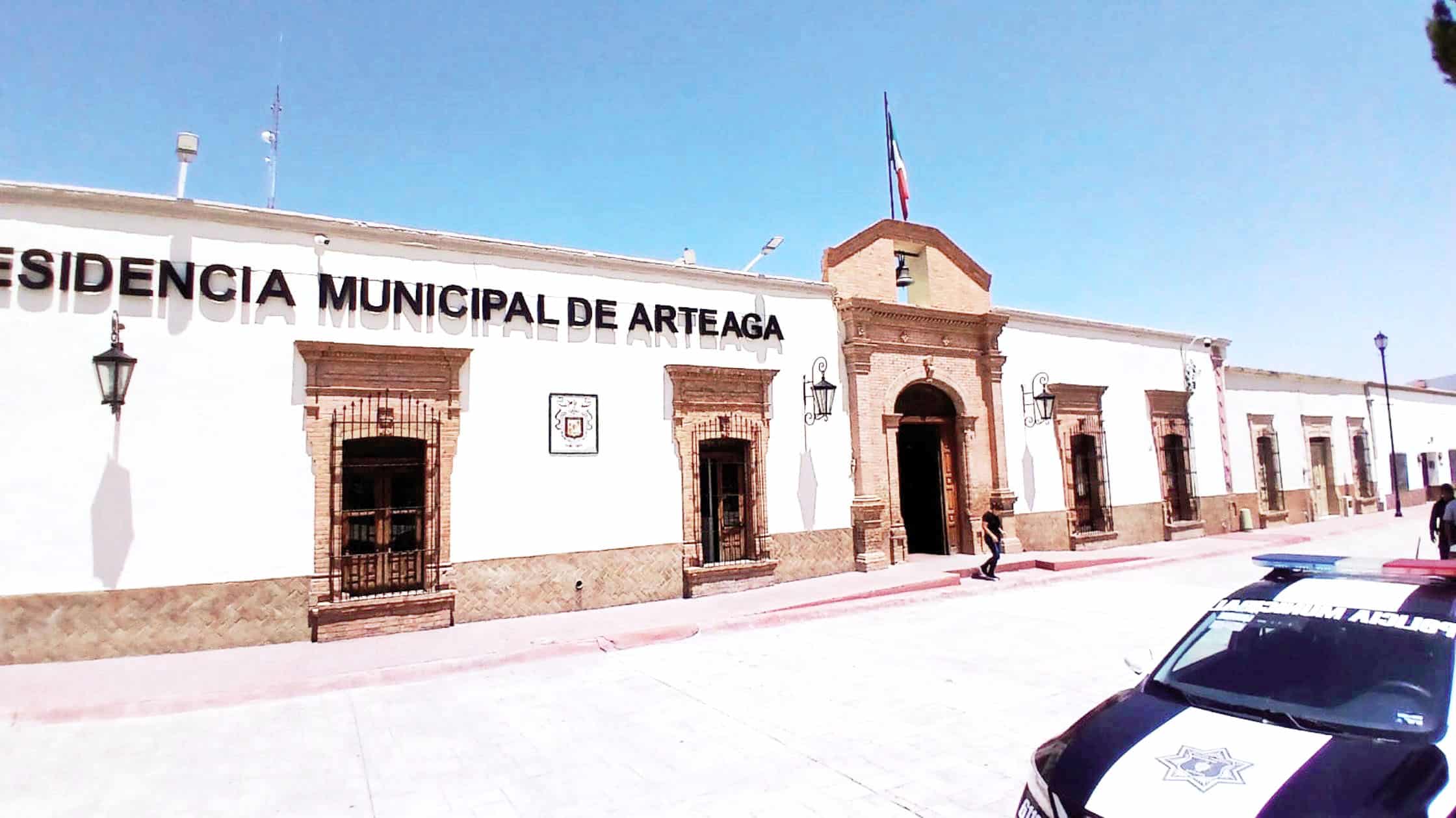 Denuncian tala masiva de pinos