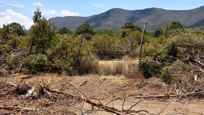 Cuestionan compromiso ambiental de Arteaga