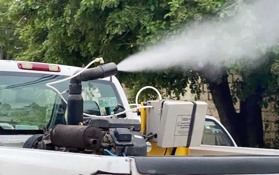 Urge fumigación en Allende ante plaga de mosquitos