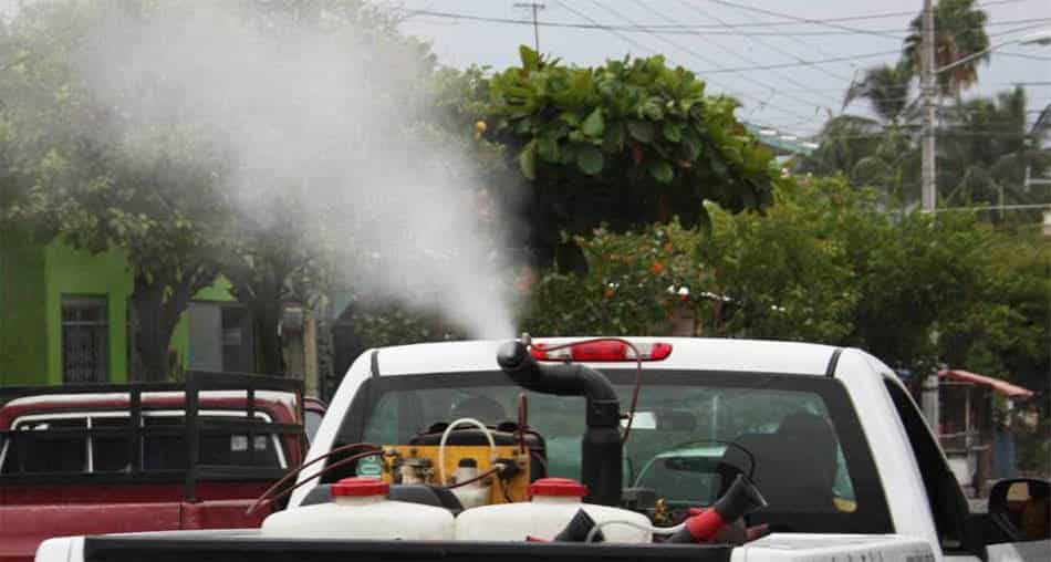 Urge fumigación en Allende ante plaga de mosquitos