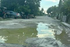 Urge fumigación en Allende ante plaga de mosquitos