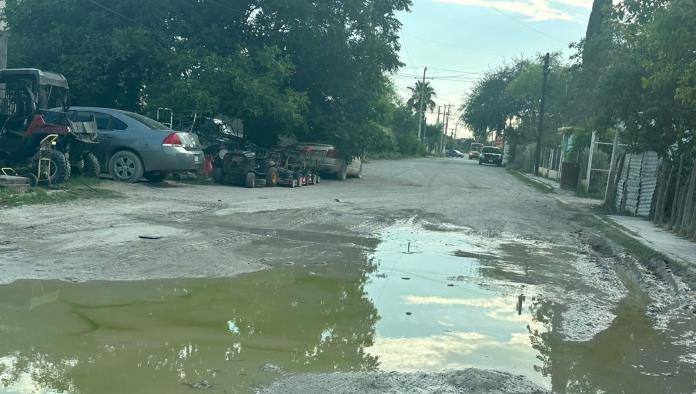 Urge fumigación en Allende ante plaga de mosquitos