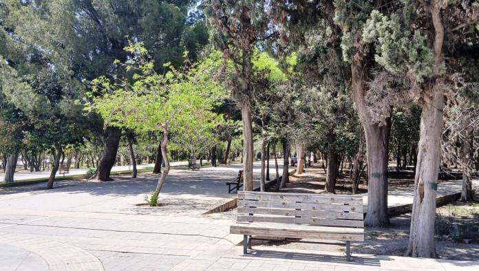 Habitantes de Arteaga exigen riego en plazas 