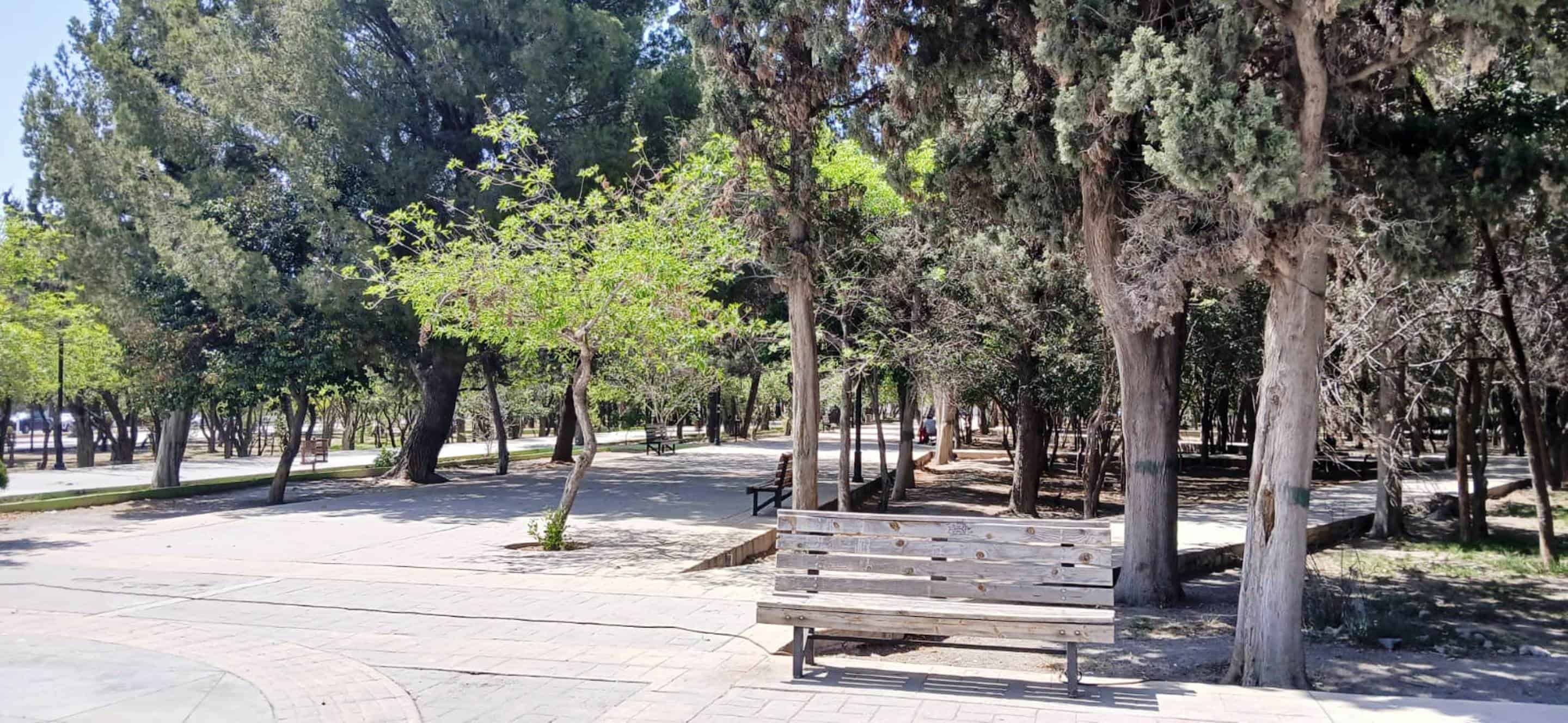 Habitantes de Arteaga exigen riego en plazas Habitantes de Arteaga exigen riego en plazas