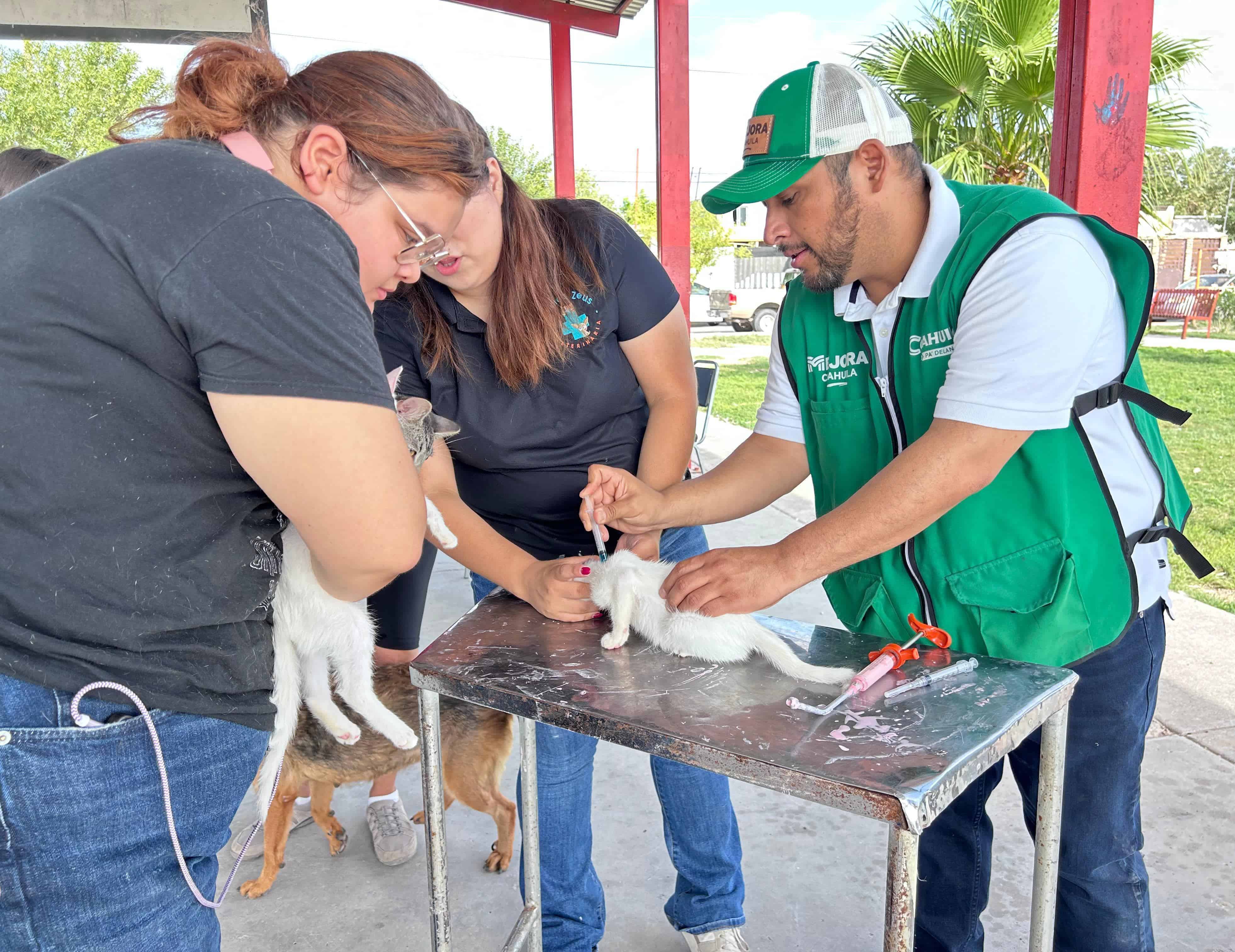 GALERÍA: Más de 300 mascotas reciben atención en jornada de salud en Piedras Negras