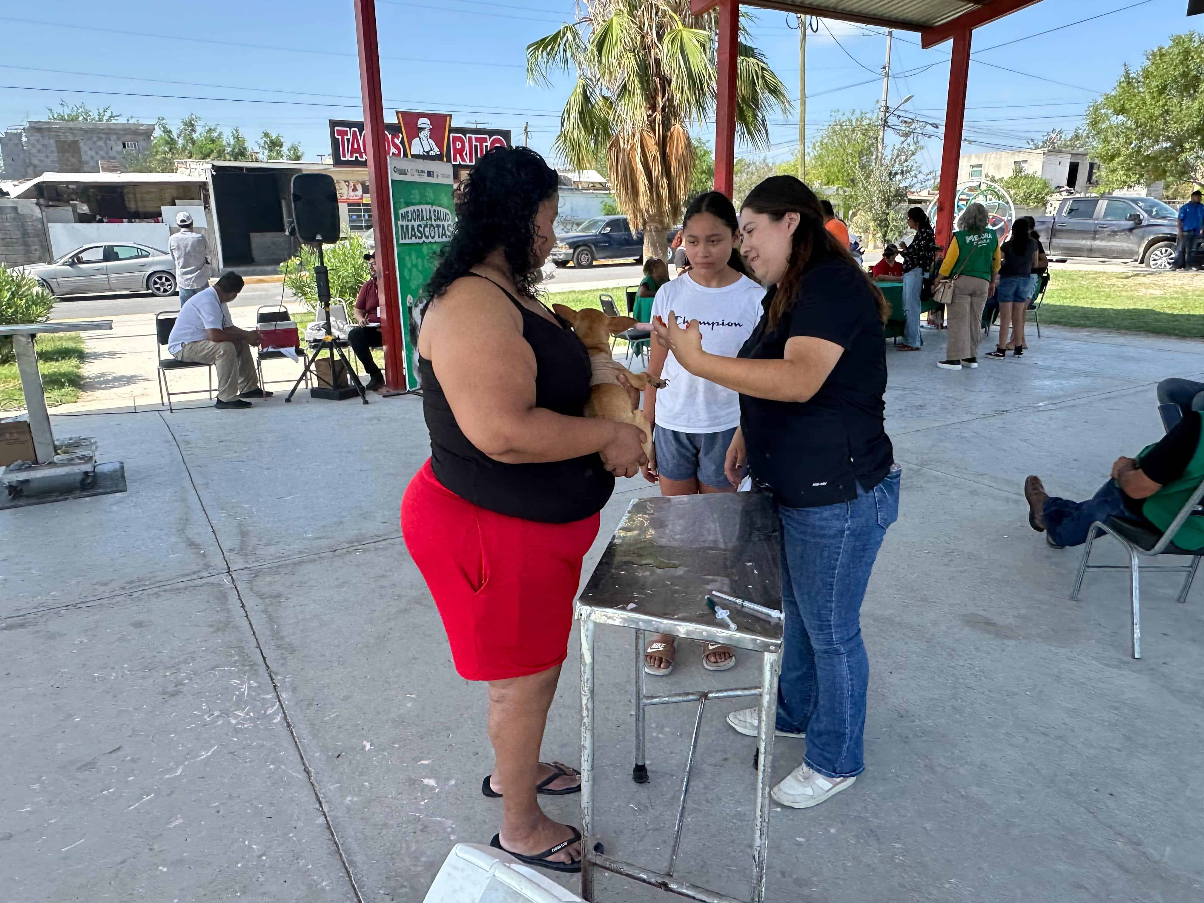 GALERÍA: Más de 300 mascotas reciben atención en jornada de salud en Piedras Negras