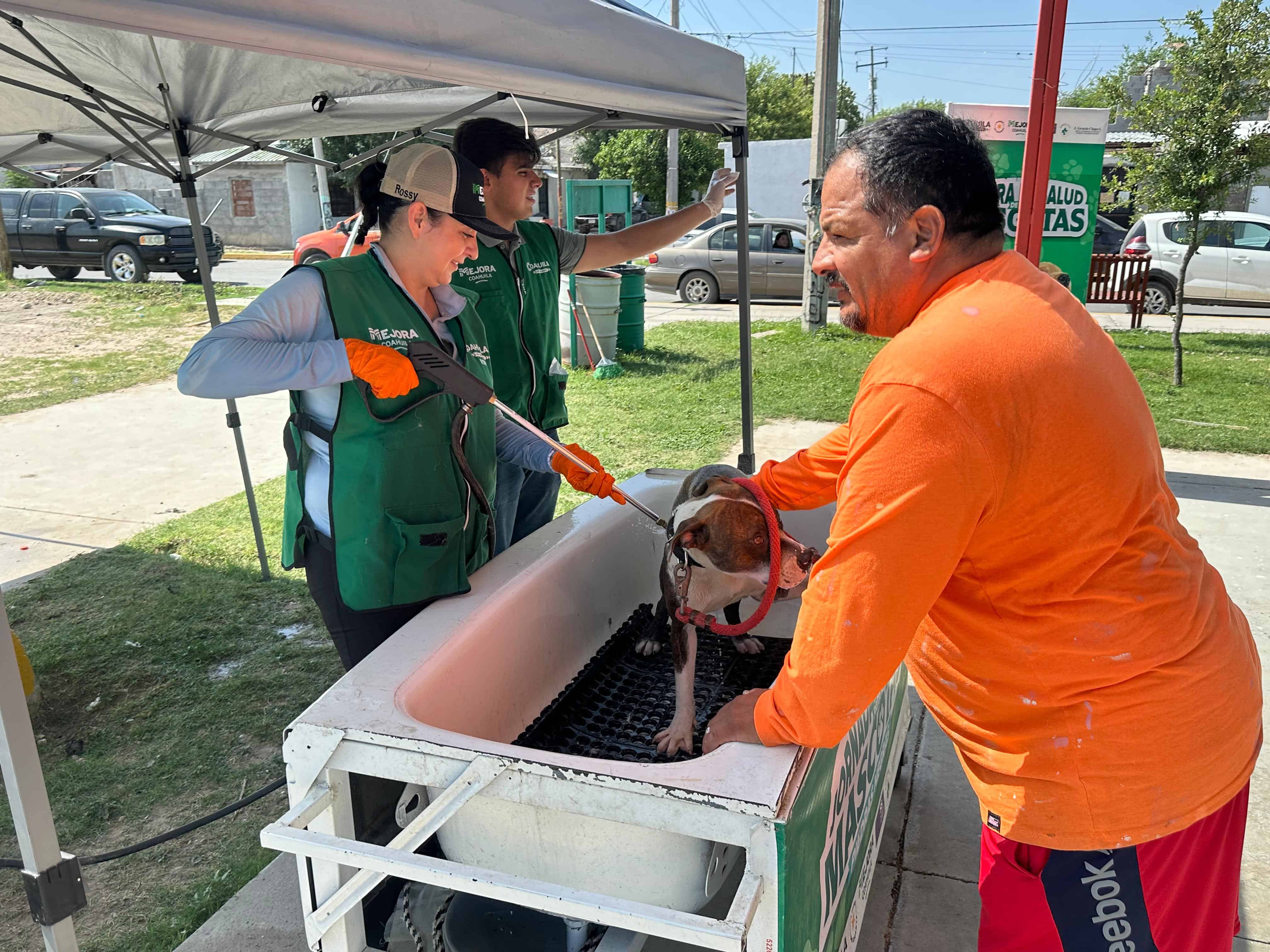 GALERÍA: Más de 300 mascotas reciben atención en jornada de salud en Piedras Negras
