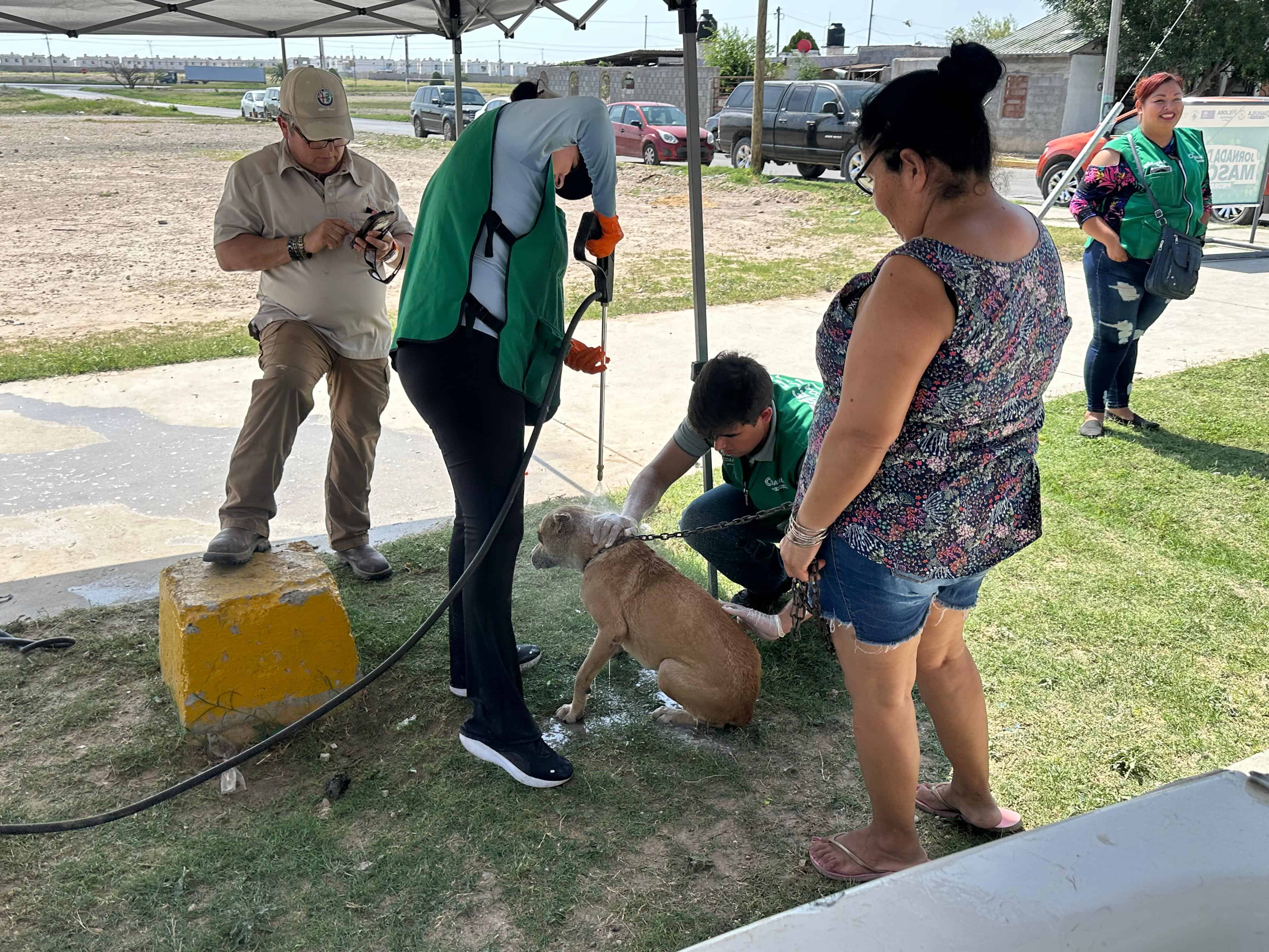 GALERÍA: Más de 300 mascotas reciben atención en jornada de salud en Piedras Negras