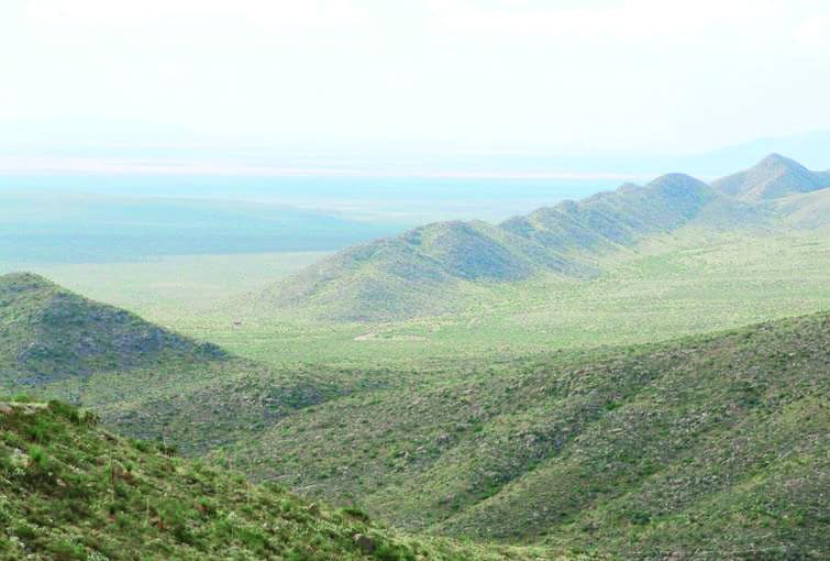 Hallan cadáver en serranía de Ocampo