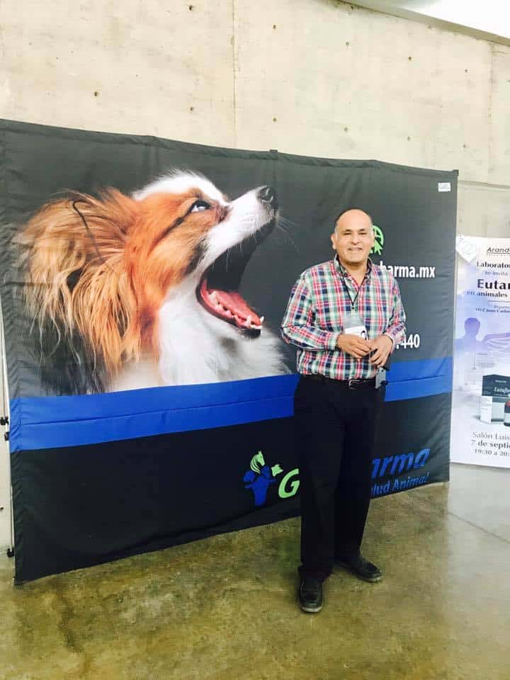 Pulgas y garrapatas: riesgo creciente para mascotas por resistencia a tratamientos