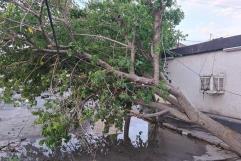 Ráfagas de viento y lluvias no causan daños en Monclova; mantienen alerta preventiva