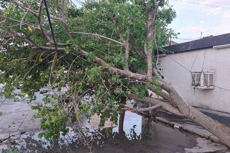Ráfagas de viento y lluvias no causan daños en Monclova; mantienen alerta preventiva
