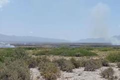 Alerta ambiental en Cuatro Ciénegas: incendio devasta zona del Río Mezquites