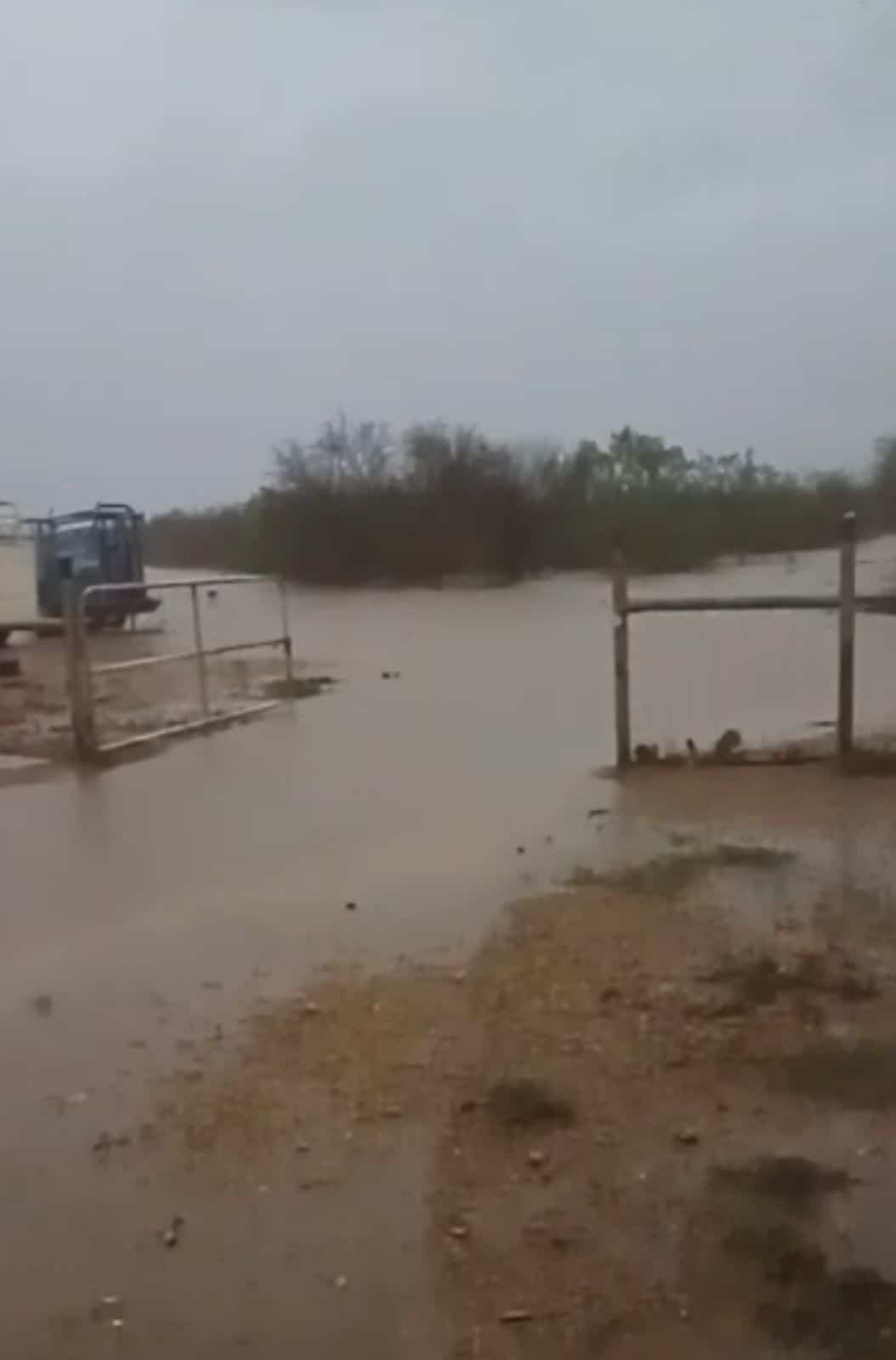 La lluvia regresa a los ranchos de Acuña y renueva la esperanza ganadera