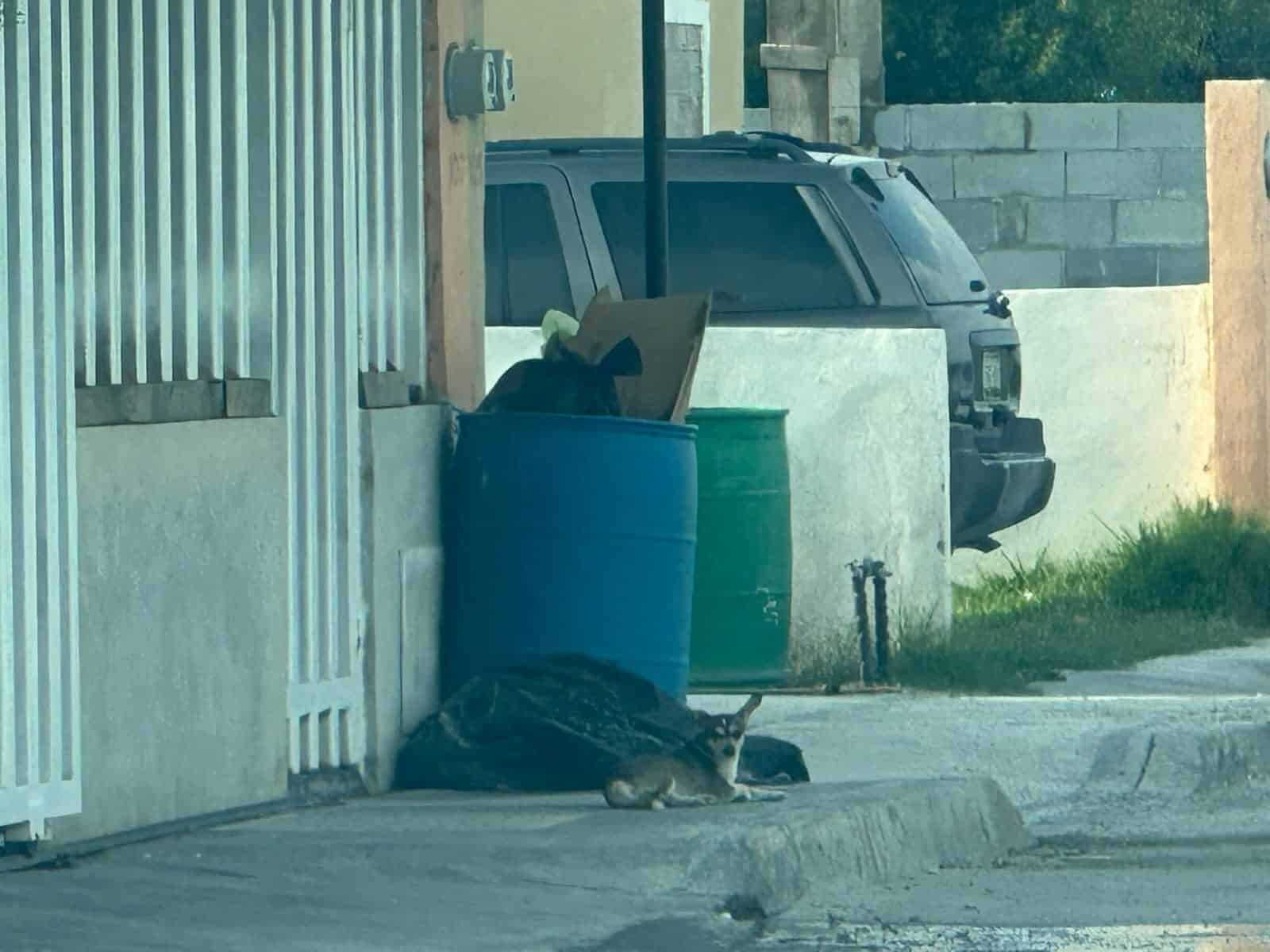 Vecinos de Allende exigen solución ante fallas en recolección de basura