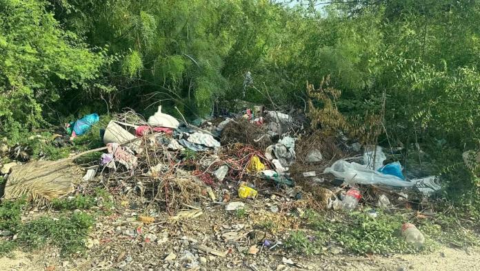 Vecinos de Allende exigen solución ante fallas en recolección de basura