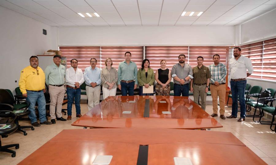 Se suma Saltillo a tareas de saneamiento forestal