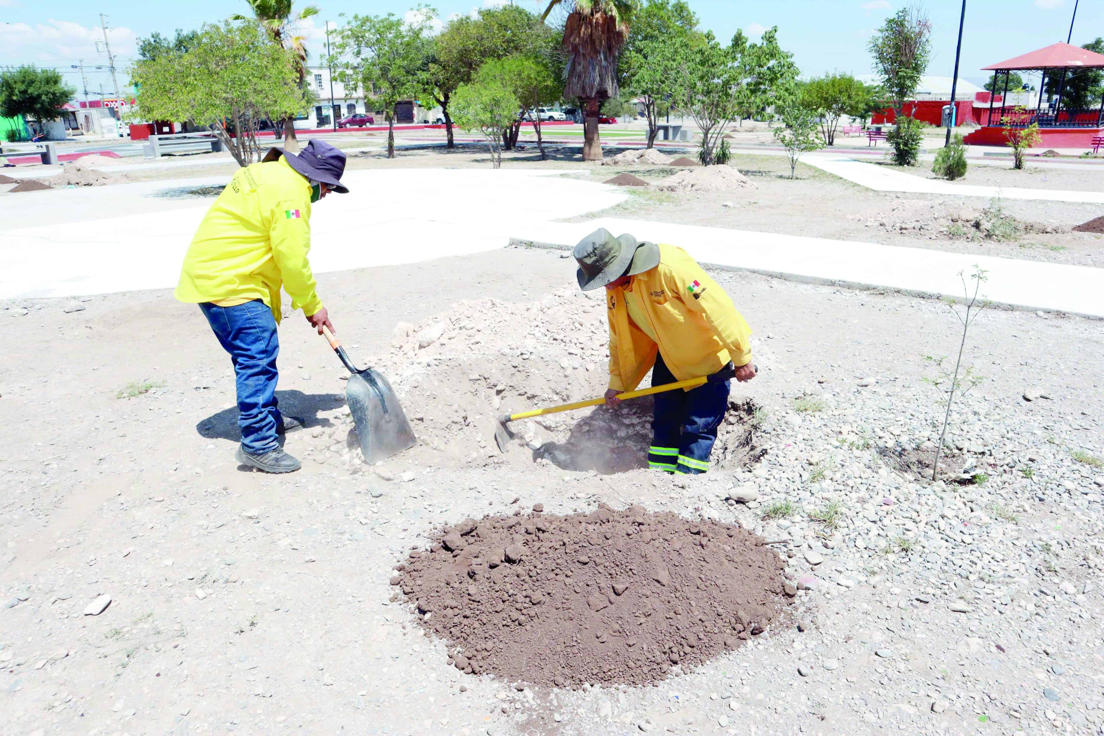 Aumenta Saltillo la seguridad vial 