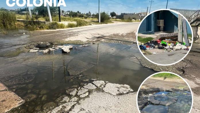 La voz en tu colonia: Abandono, aguas negras y promesas rotas en la Don Antonio