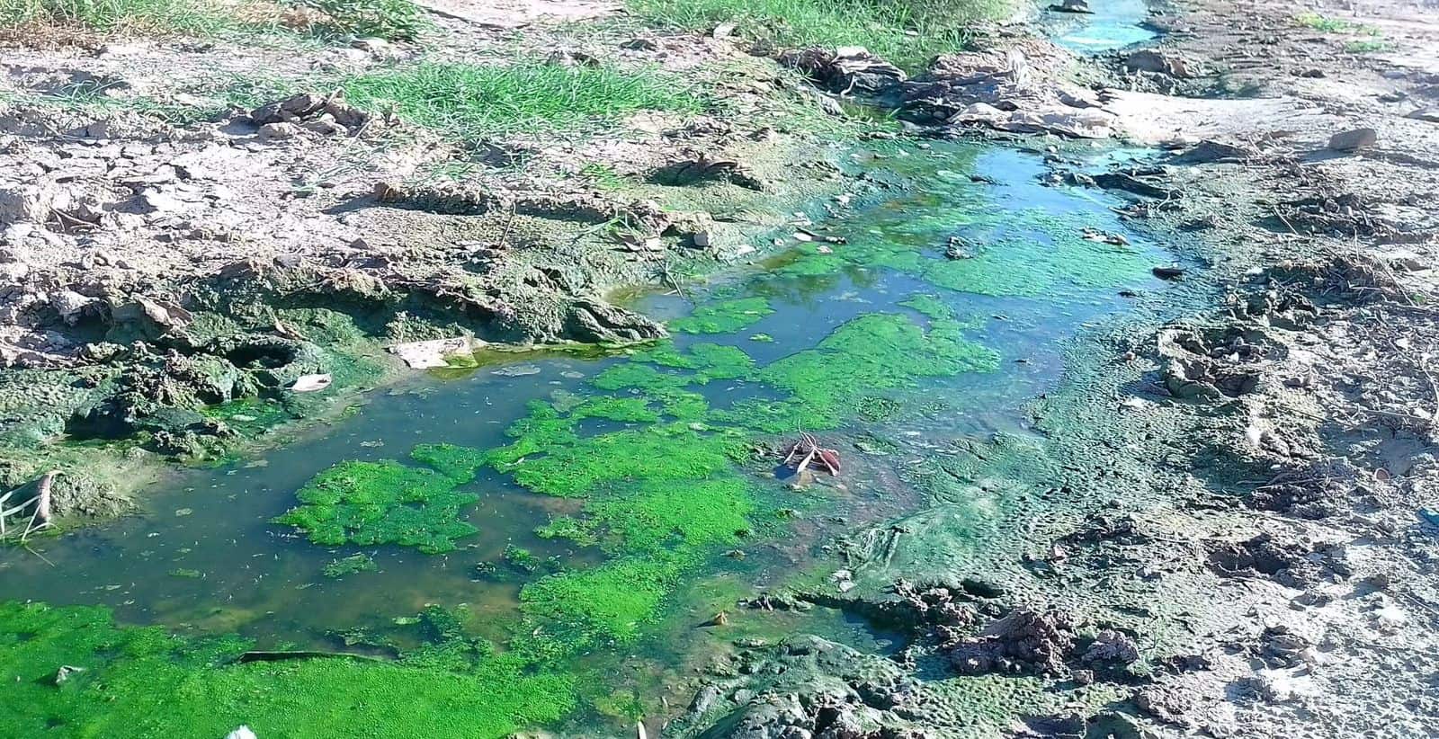 La voz en tu colonia: Foco de infección en Ampliación Santa Rosa