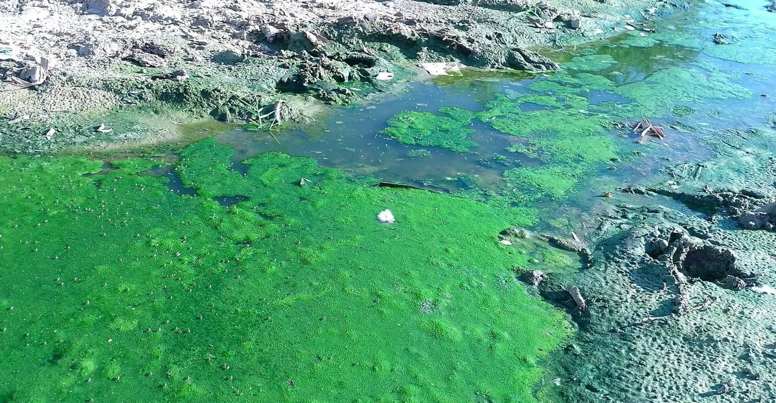 La voz en tu colonia: Foco de infección en Ampliación Santa Rosa