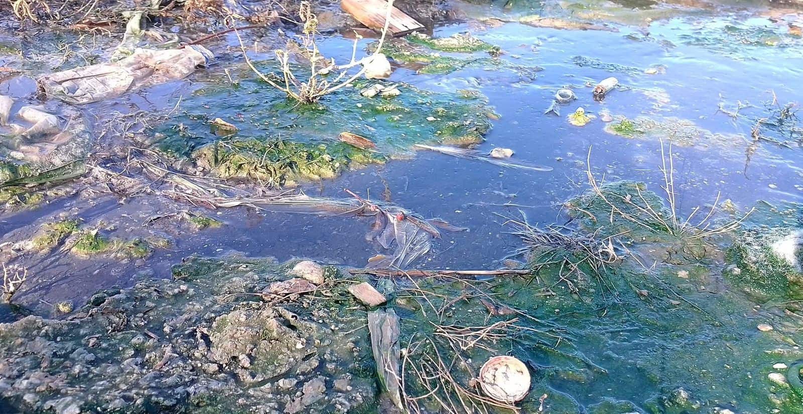 La voz en tu colonia: Foco de infección en Ampliación Santa Rosa