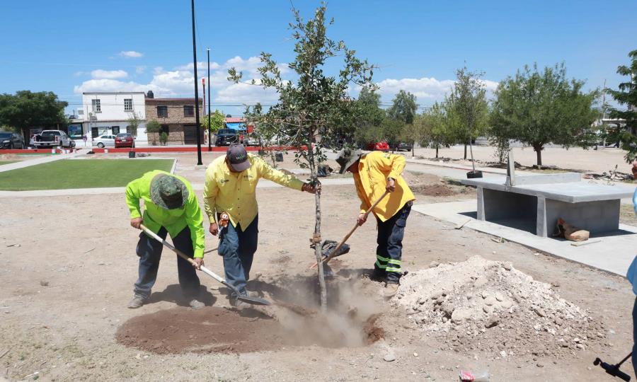 Equipo de ‘Aquí Andamos’ interviene plaza pública en Mirasierra