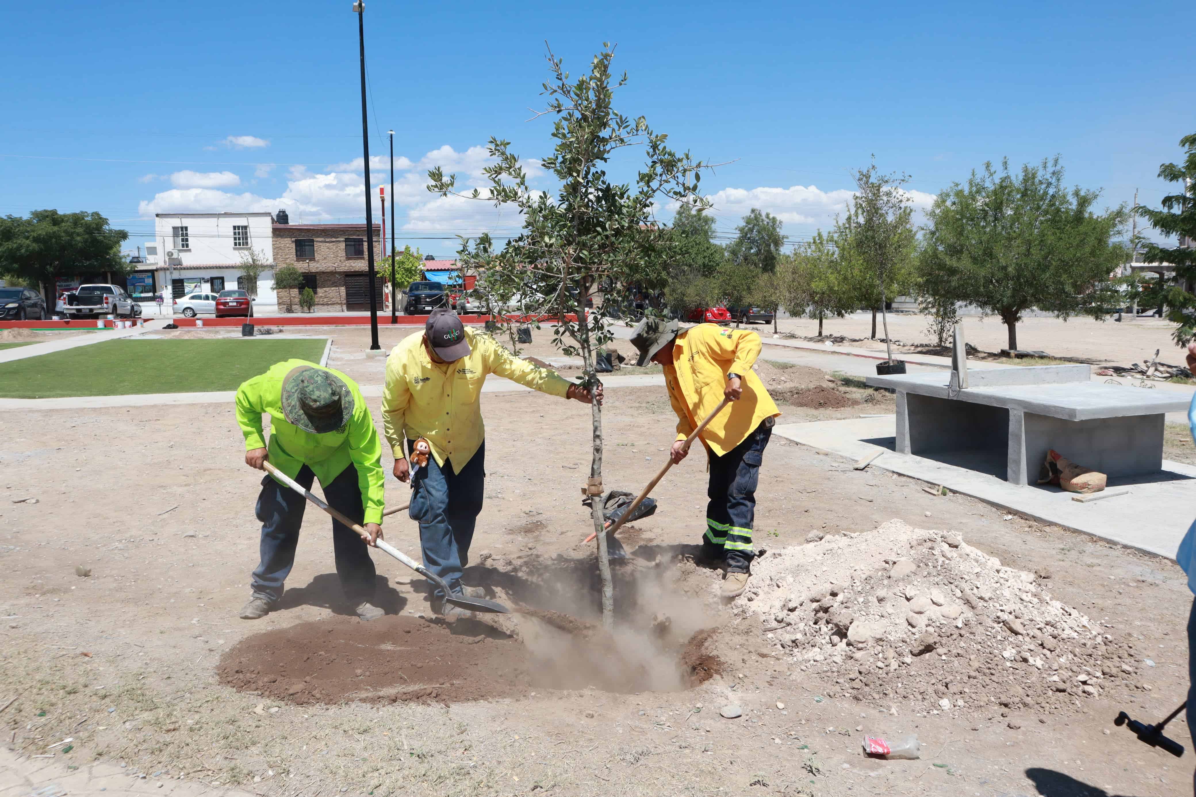 Equipo de ´Aquí Andamos´ interviene plaza pública en Mirasierra