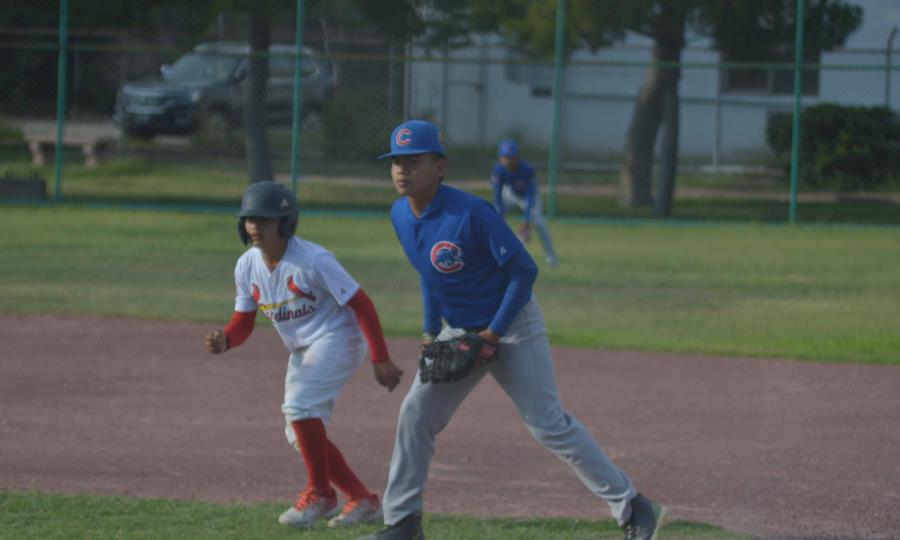 Cardenales eliminan a Cubs y avanzan a la final de la Liga Furiazul Pre-Junior