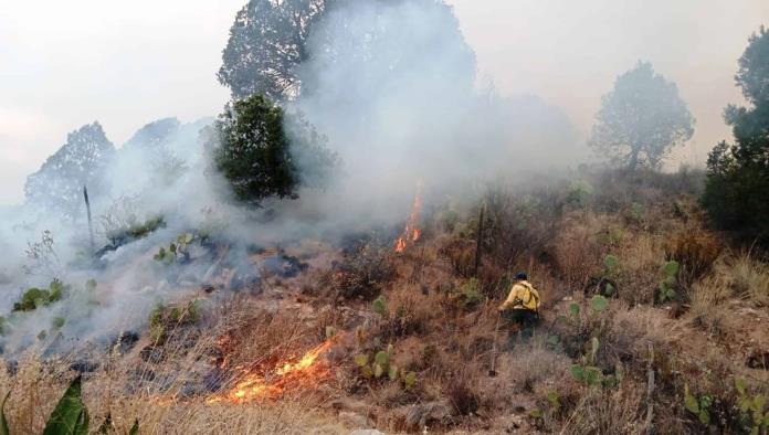 Controlan incendio en “el Cañón del Buey”