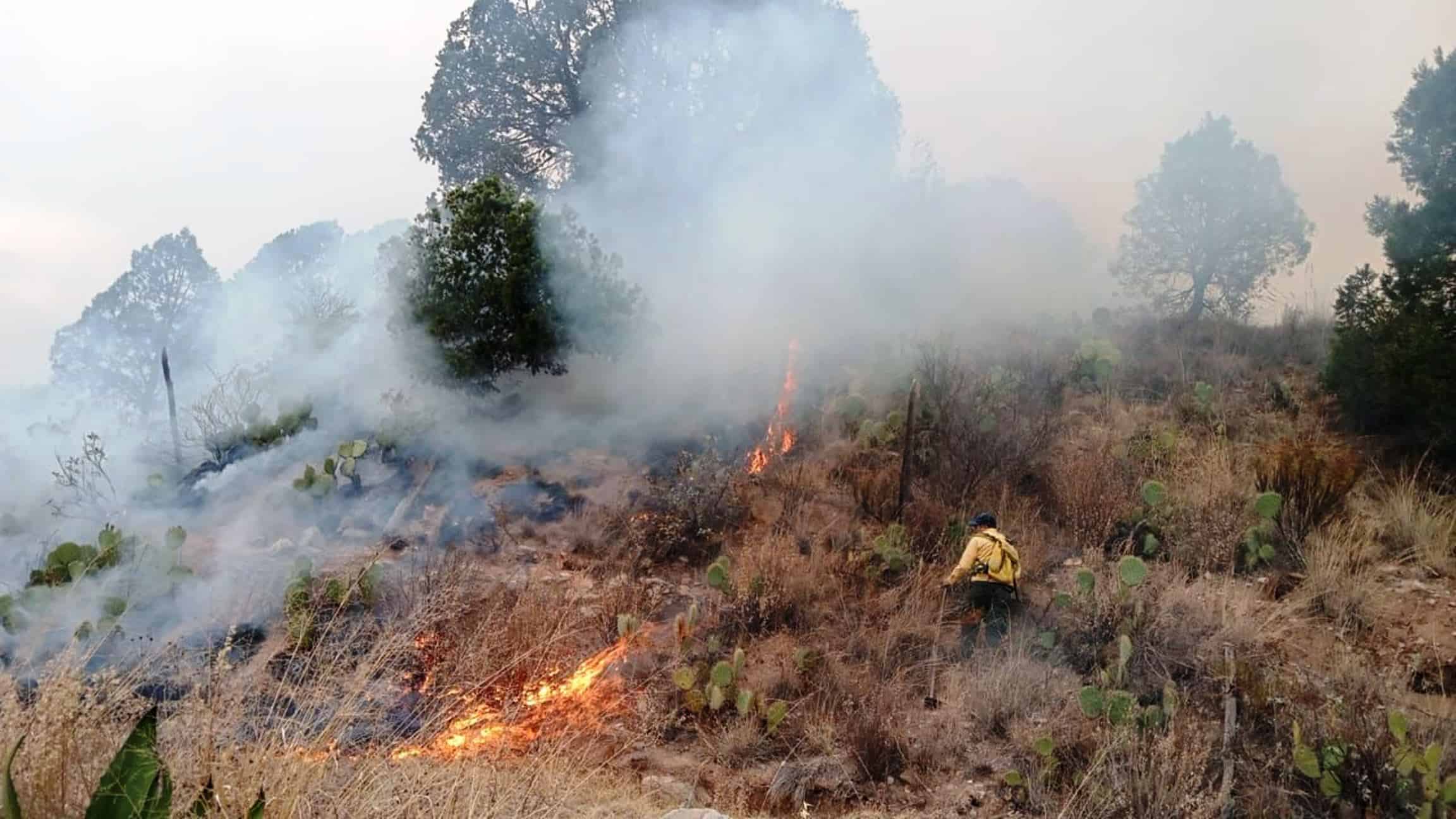 Controlan incendio en "el Cañón del Buey"
