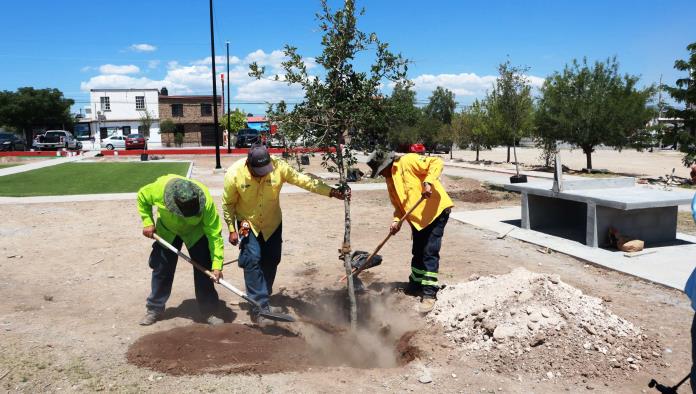 Equipo ‘Aquí Andamos’ trabaja en “Mirasierra”