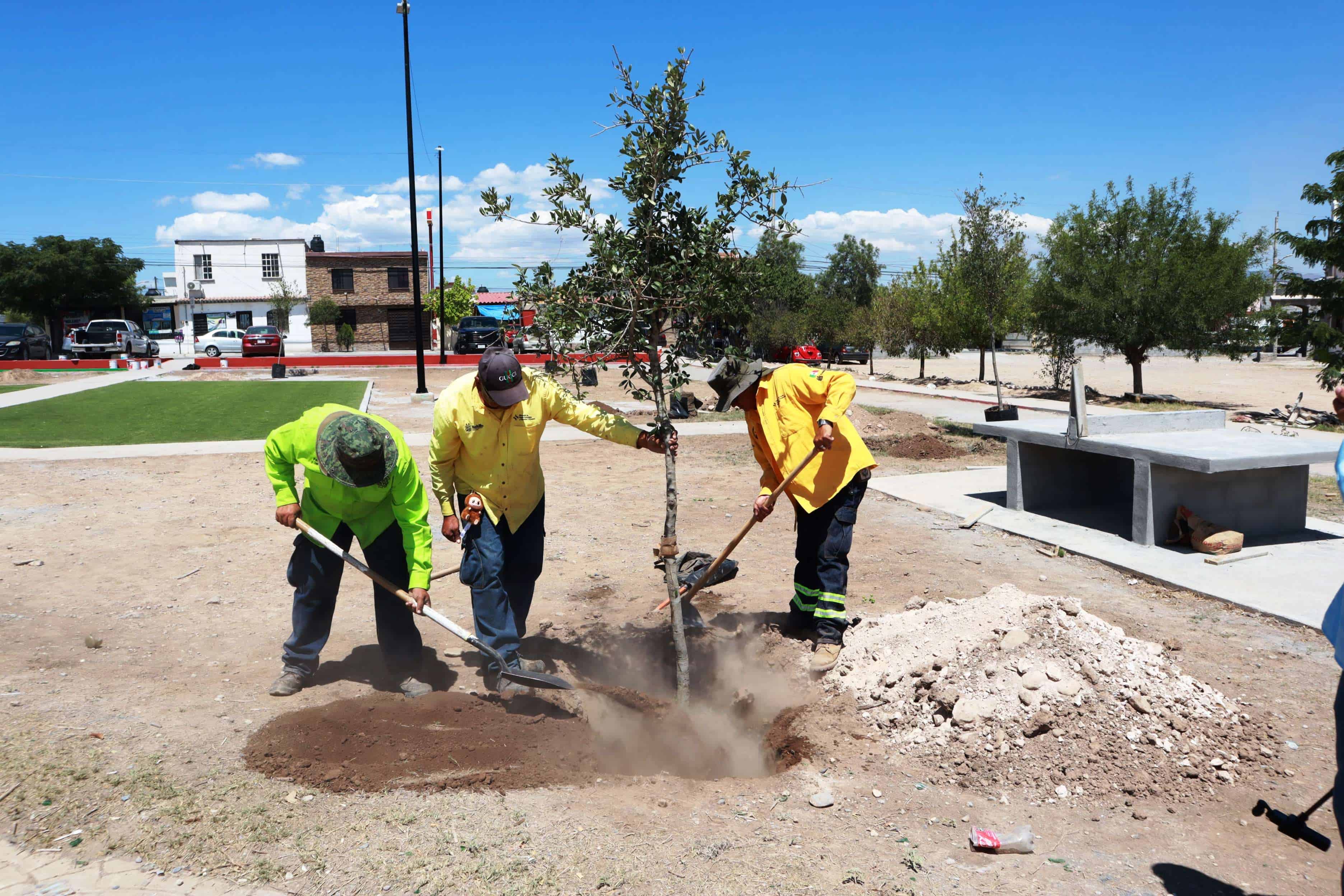 Equipo ´Aquí Andamos´ trabaja en "Mirasierra"
