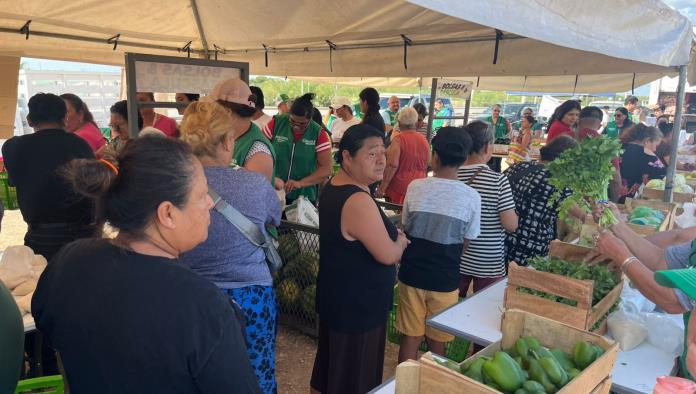 “El Mercadito” llega a Colinas del Valle con apoyos y descuentos