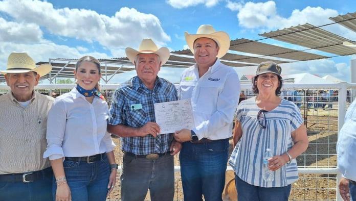 Entrega de sementales bovinos en Zaragoza fortalece al sector ganadero